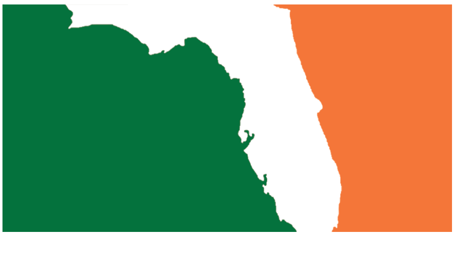 IRISH IN FLORIDA - IRISH IN FLORIDA